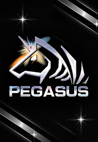 pegasus by 30 รับ 100 ทํา 300 ถอน 300